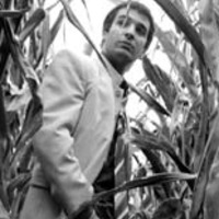 Bertrand Piocelle