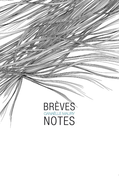 Promo-breves_notes-Maury-COUV