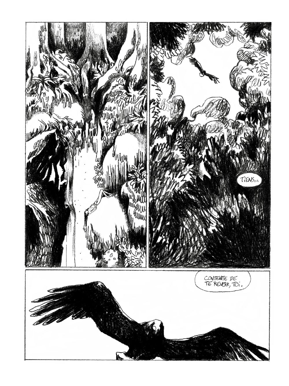 sauvage_pages3